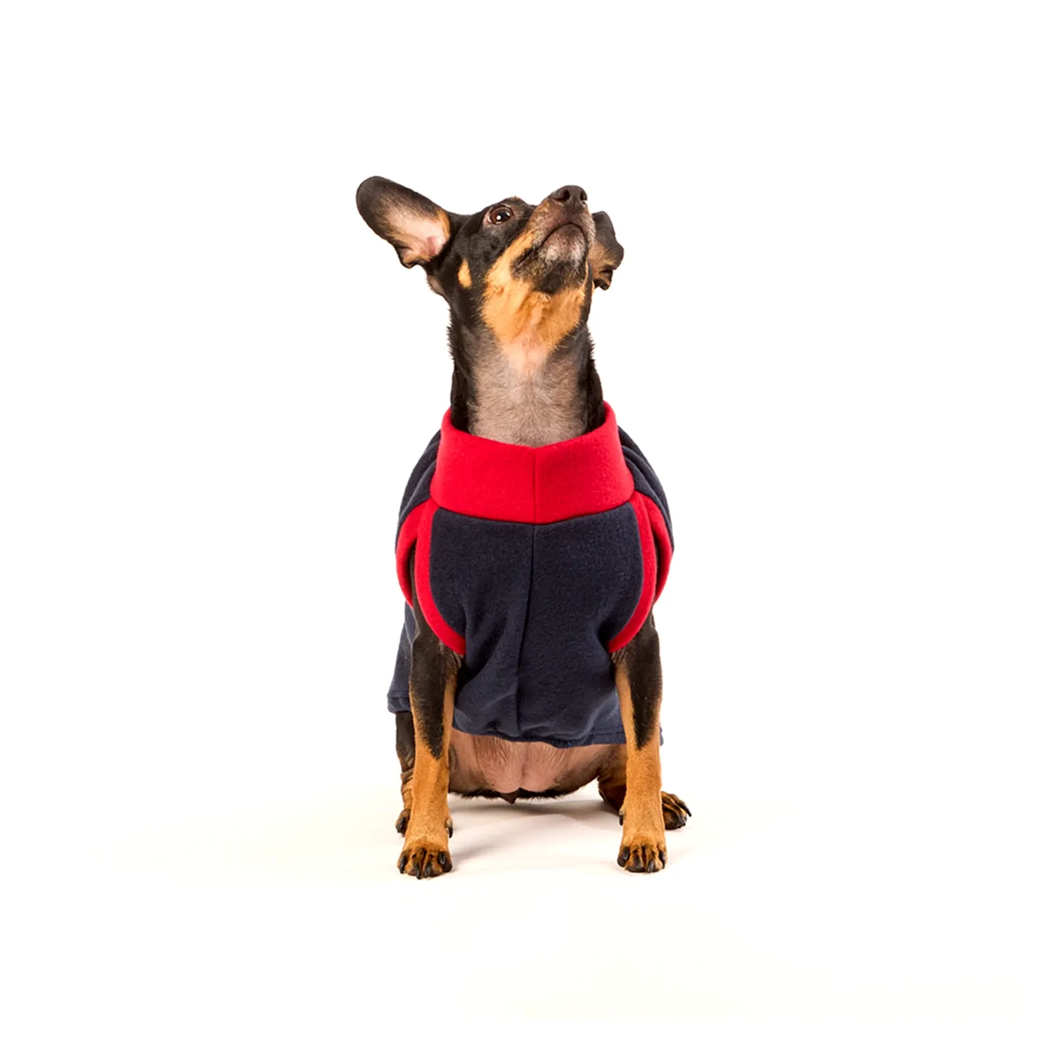 Blusa Básica Soft Lisa Azul Fábrica Pet